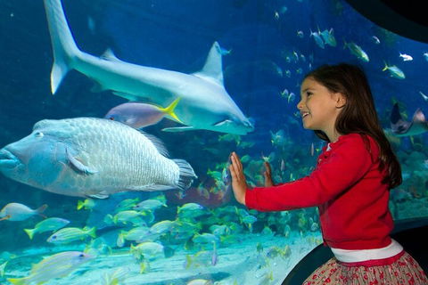 Melbourne BIG Ticket - LEGOLAND Discovery And SEA LIFE Melbourne - Attractions Perth 1