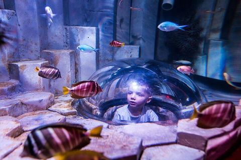 Melbourne BIG Ticket - LEGOLAND Discovery And SEA LIFE Melbourne - Attractions Perth 5