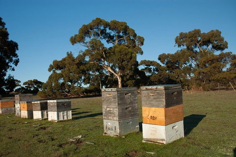 Fine Flavours - Full Day Kangaroo Island Food & Wine Tour - Attractions Perth 1