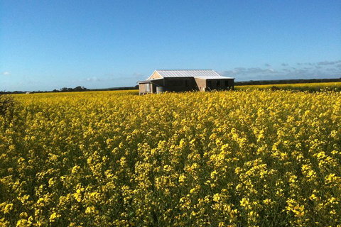 Fine Flavours - Full Day Kangaroo Island Food & Wine Tour - Attractions Perth 3
