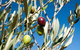 Fine Flavours - Full Day Kangaroo Island Food & Wine Tour - thumb 4