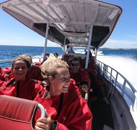Adventure Rottnest Tour with Ferry  Adventure Cruise from Perth or Fremantle - Attractions Perth