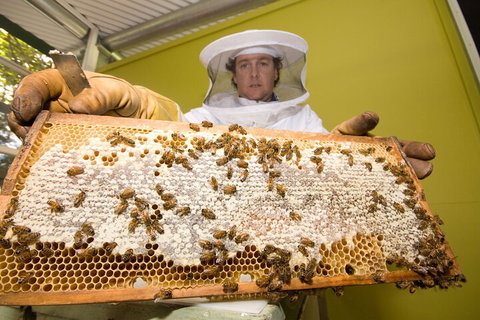 The Ginger Factory Play, Taste & Discover Bundle Admission Ticket - Attractions Perth 2