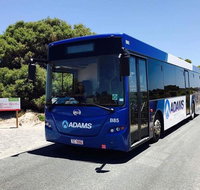 Rottnest Bayseeker Bus Tour from Hillarys Boat Harbour - Attractions Perth