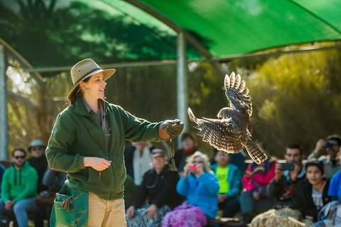 Full Day Kangaroo Island Sip And See Tour Departing From Kangaroo Island - Attractions Perth 1