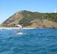 Kayaking with Dolphins in Byron Bay Guided Tour - Attractions Perth
