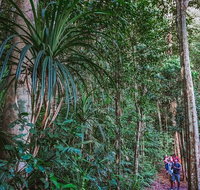 Atherton Tablelands Rain Forest by Night from Cairns - Attractions Perth