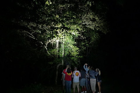 Atherton Tablelands Rain Forest By Night From Cairns - Attractions Perth 2