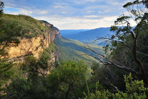 Blue Mountains Day Tour With Wildlife At Sunset From Sydney - Attractions Perth 5