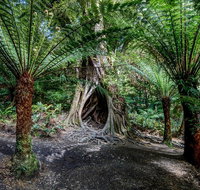 Adelaide to Melbourne 3-Day Trip through Grampians and Great Ocean Road - Attractions Perth