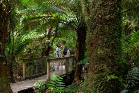Great Ocean Road To Grampians 2 Day 1 Night Tour From Melbourne To Adelaide - Attractions Perth 0