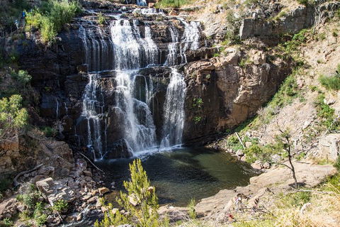 Grampians National Park With Kangaroos And MacKenzie Falls From Melbourne - Attractions Perth 1