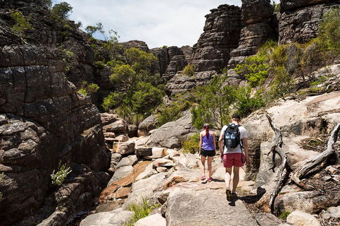 Grampians National Park With Kangaroos And MacKenzie Falls From Melbourne - Attractions Perth 3