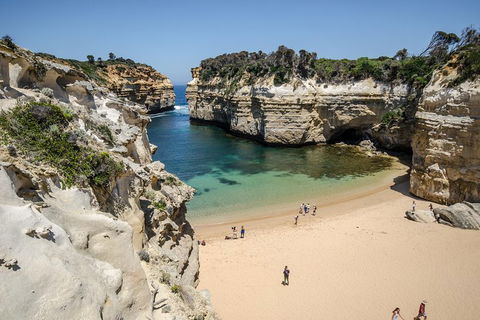 Great Ocean Road Reverse Itinerary With 12 Apostles From Melbourne - Attractions Perth 5