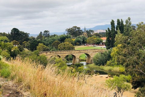 Day Tour In Mt. Field, Mt. Wellington, Bonorong Wildlife Sanctuary And Richmond - Attractions Perth 3