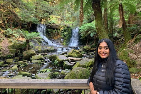 Day Tour In Mt. Field, Mt. Wellington, Bonorong Wildlife Sanctuary And Richmond - Attractions Perth 5