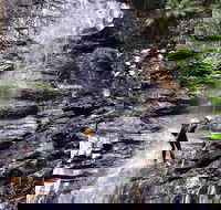 Full-Day Canyoning Experience at Stunning Empress Canyon - Attractions Perth