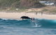 Cruise With Dolphins In Byron Bay - thumb 3