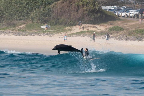 Cruise With Dolphins In Byron Bay - Attractions Perth 3