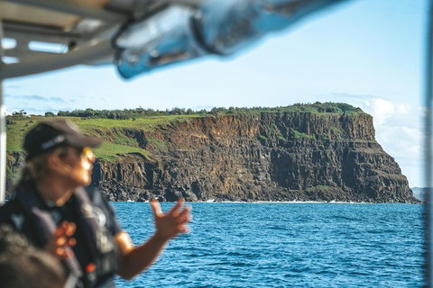 Cruise With Dolphins In Byron Bay - Attractions Perth 4