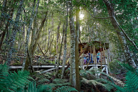 Private Blue Mountains Tour - Attractions Perth 4