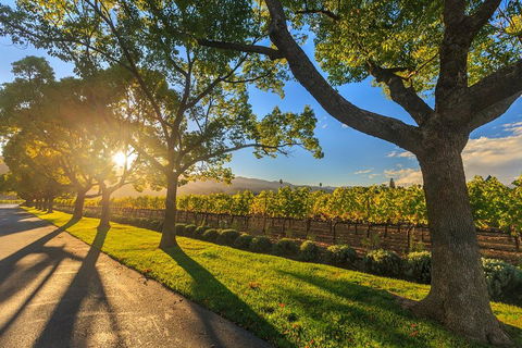 Very Best Of Perth Tour - Wildlife Park & City Highlights Tour - Attractions Perth 2