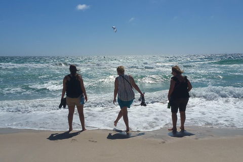 Very Best Of Perth Tour - Wildlife Park & City Highlights Tour - Attractions Perth 5