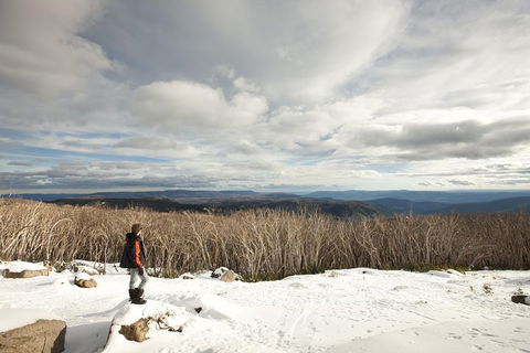 Lake Mountain Snow Trip Including Yarra Valley Chocolaterie From Melbourne - Attractions Perth 5