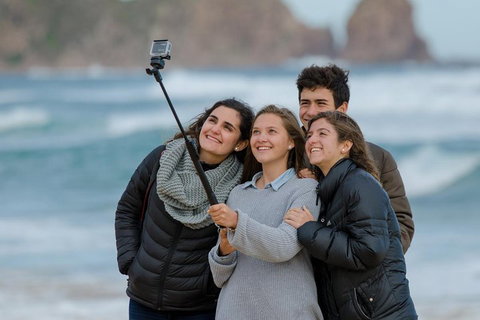 Small-Group Phillip Island Day Trip From Melbourne With Penguin Plus Viewing - Attractions Perth 1