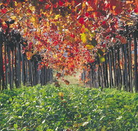 Margaret River Private Tour - Attractions Perth