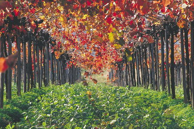 Margaret River Private Tour