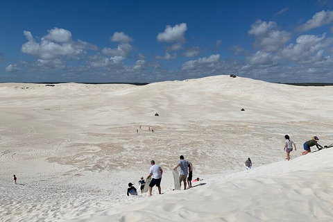 Pinnacles Day Trip From Perth Including Yanchep National Park - Attractions Perth 2