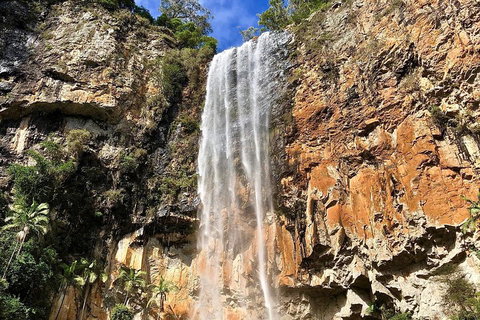 Springbrook Full Day Tour - Attractions Perth 2