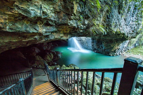 Springbrook Full Day Tour - Attractions Perth 4