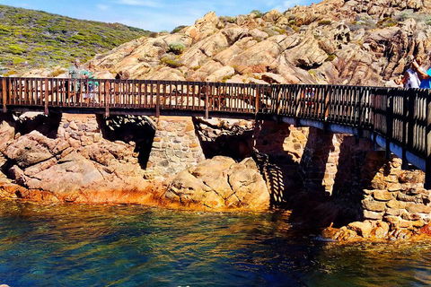 Margaret River (Private) Day Tour - Attractions Perth 3