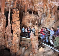 Private Tour Jenolan Caves  Blue Mountains in a day - Attractions Perth