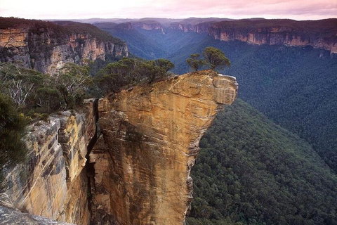 Private Tour: Blue Mountains And Jenolan Caves Day Trip From Sydney - Attractions Perth 0