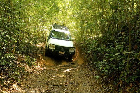 Barron Gorge And Kuranda National Park Half Day Rainforest And Waterfall 4WD Tour From Cairns - Attractions Perth 2