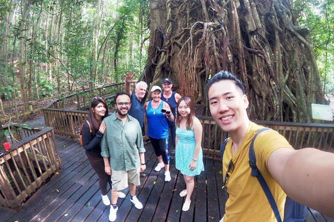 Barron Gorge And Kuranda National Park Half Day Rainforest And Waterfall 4WD Tour From Cairns - Attractions Perth 5