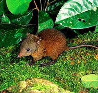 3-Day Small-Group Tour of North Queensland with Pick Up - Attractions Perth