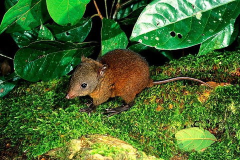 3-Day Small-Group Tour Of North Queensland With Pick Up - Attractions Perth 0