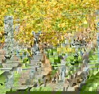 Margaret River Indulge and Discover Day Tour - Attractions Perth