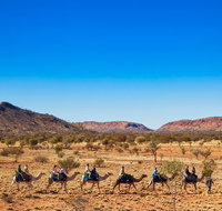 Alice Springs Camel Tour - Attractions Perth