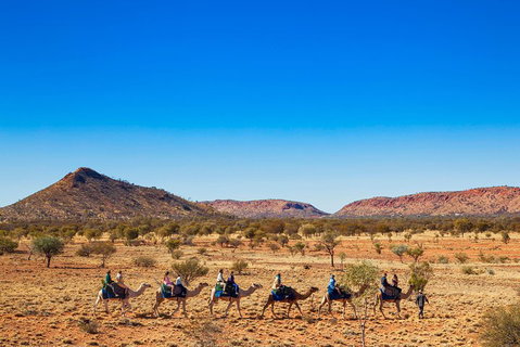 Alice Springs Camel Tour - Attractions Perth 0