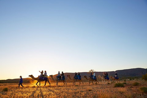Alice Springs Camel Tour - Attractions Perth 1