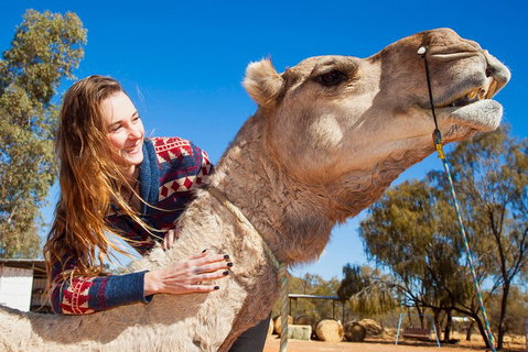 Alice Springs Camel Tour - Attractions Perth 2
