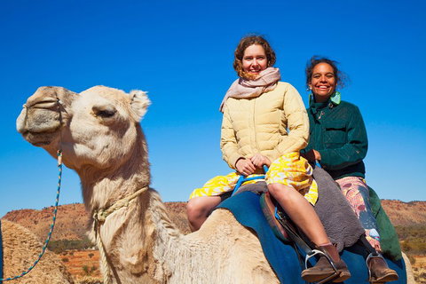 Alice Springs Camel Tour - Attractions Perth 3