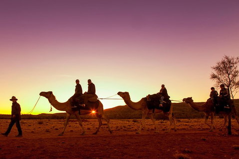 Alice Springs Camel Tour - Attractions Perth 4