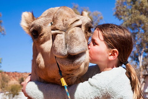 Alice Springs Camel Tour - Attractions Perth 5