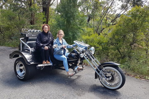 Blue Mountains 1-Hour Trike Tour Of Three Sisters - Attractions Perth 1